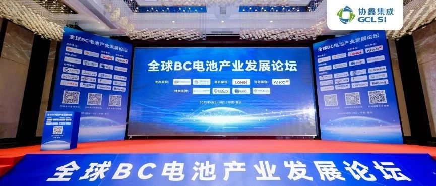 BC领航•碳索未来｜虎牙官网网页登录入口出席全球BC电池产业发展论坛